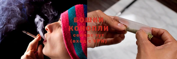 крисы Баксан