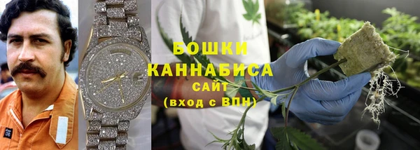 крисы Баксан